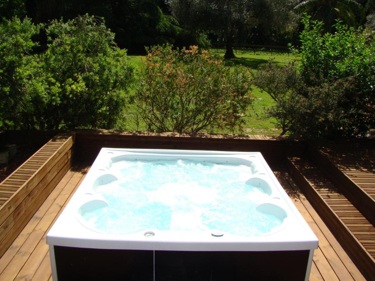 La Villa Saint Andre - Argeles Sur Mer Екстер'єр фото