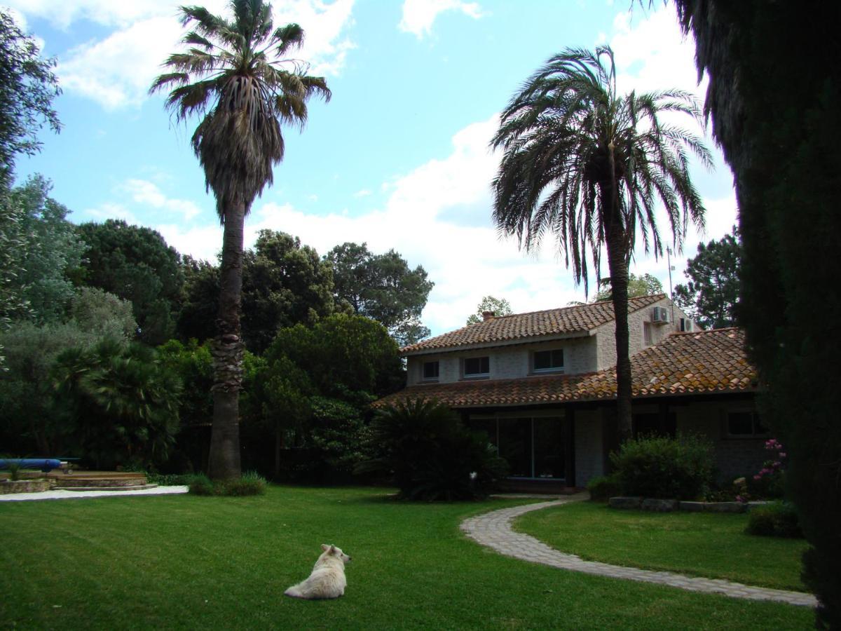 La Villa Saint Andre - Argeles Sur Mer Екстер'єр фото
