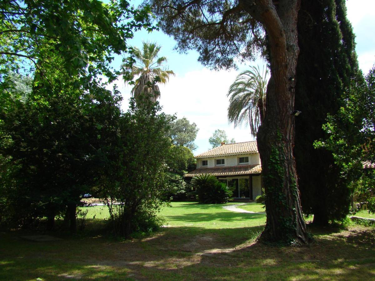 La Villa Saint Andre - Argeles Sur Mer Екстер'єр фото